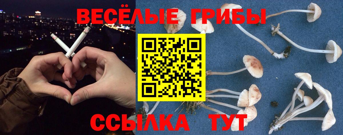 Галлюциногенные грибы мицелий Донецк